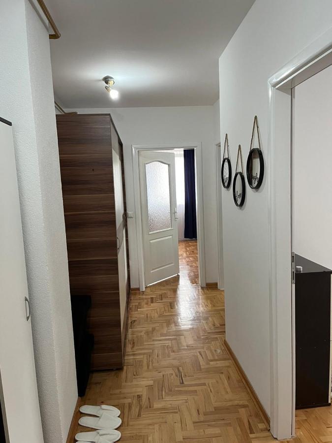 Blue Moon Apartment
